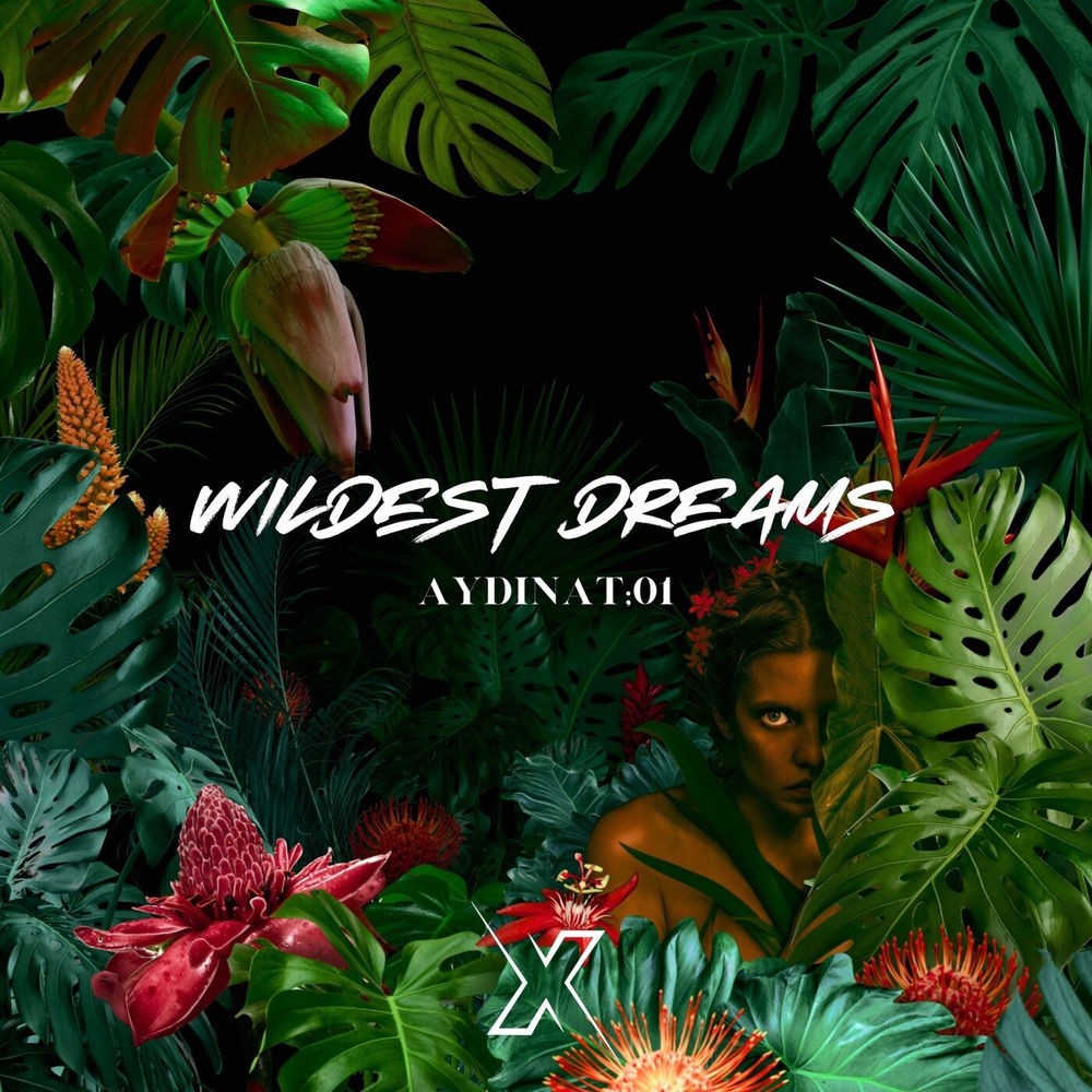 AydinAT;01, Wildest Dreams, cover art