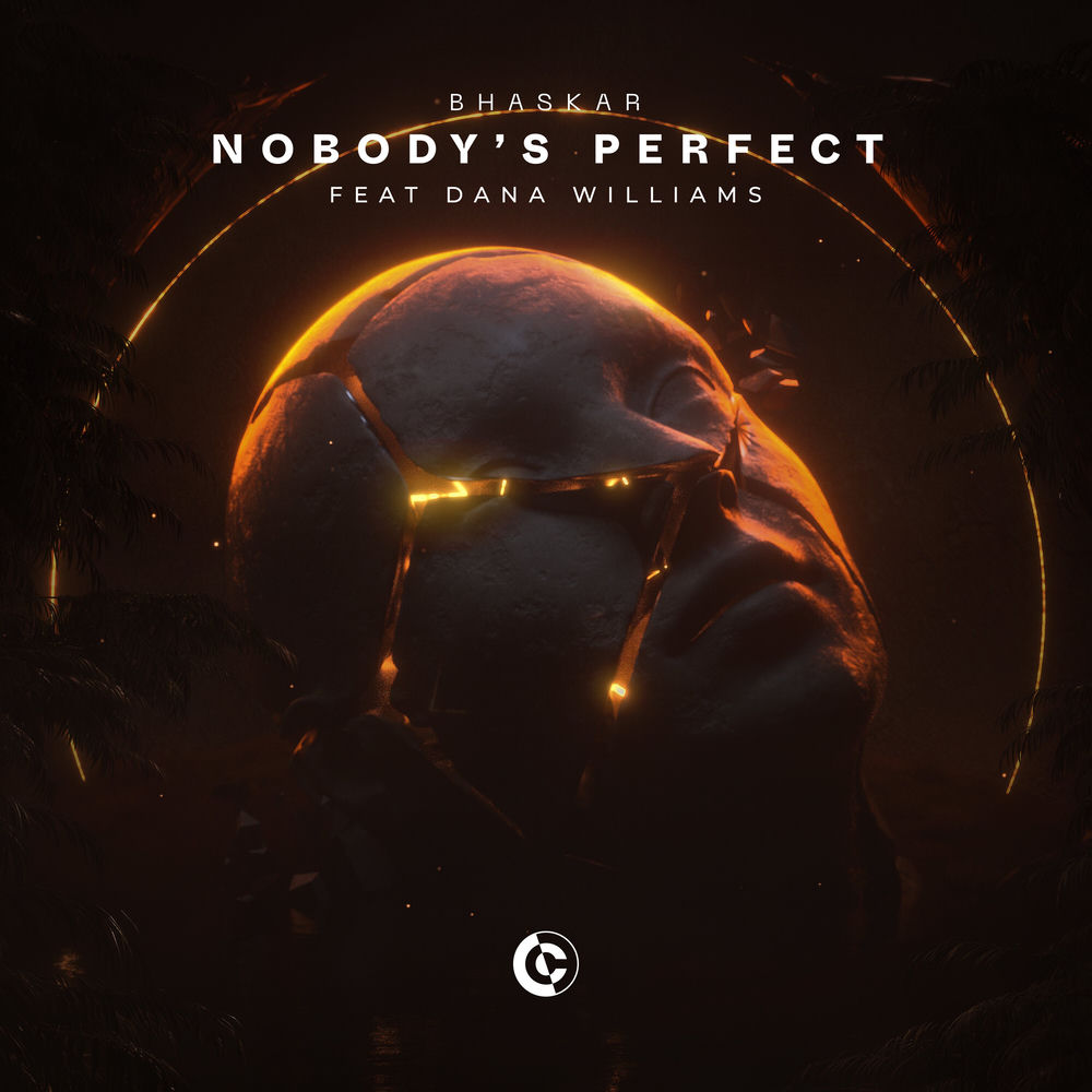 Bhaskar, Dana Williams, Nobody's Perfect (feat. Dana Williams), cover art