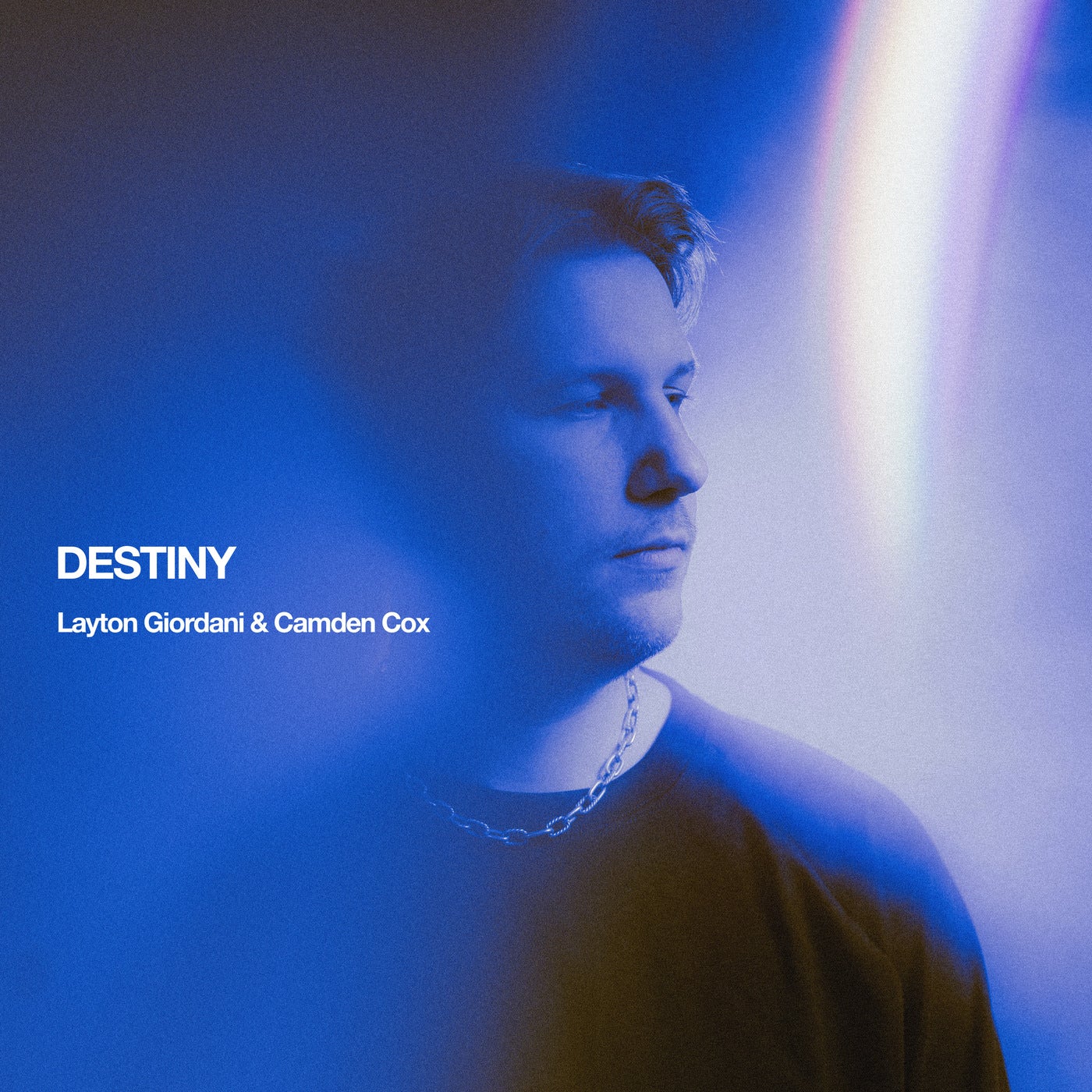 Camden Cox, Layton Giordani, Destiny, cover art