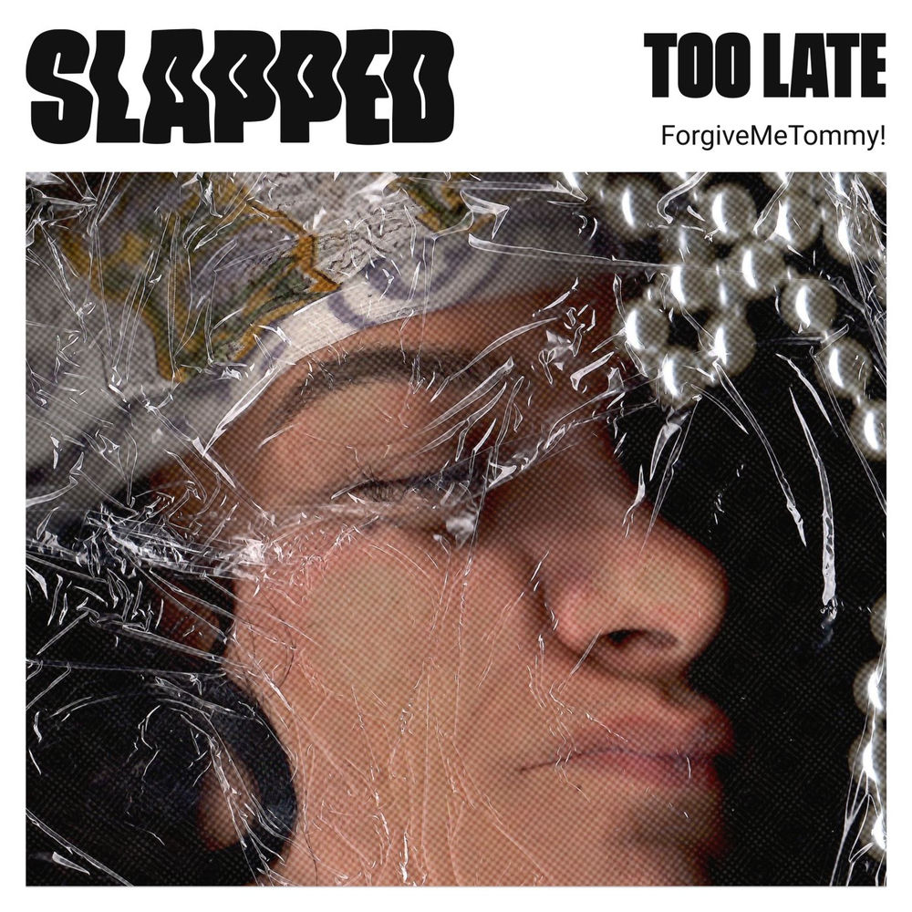 ForgiveMeTommy!, Too Late, cover art