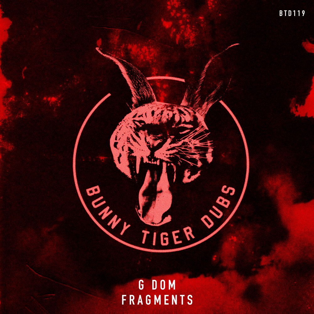 G DOM, Fragments, cover art