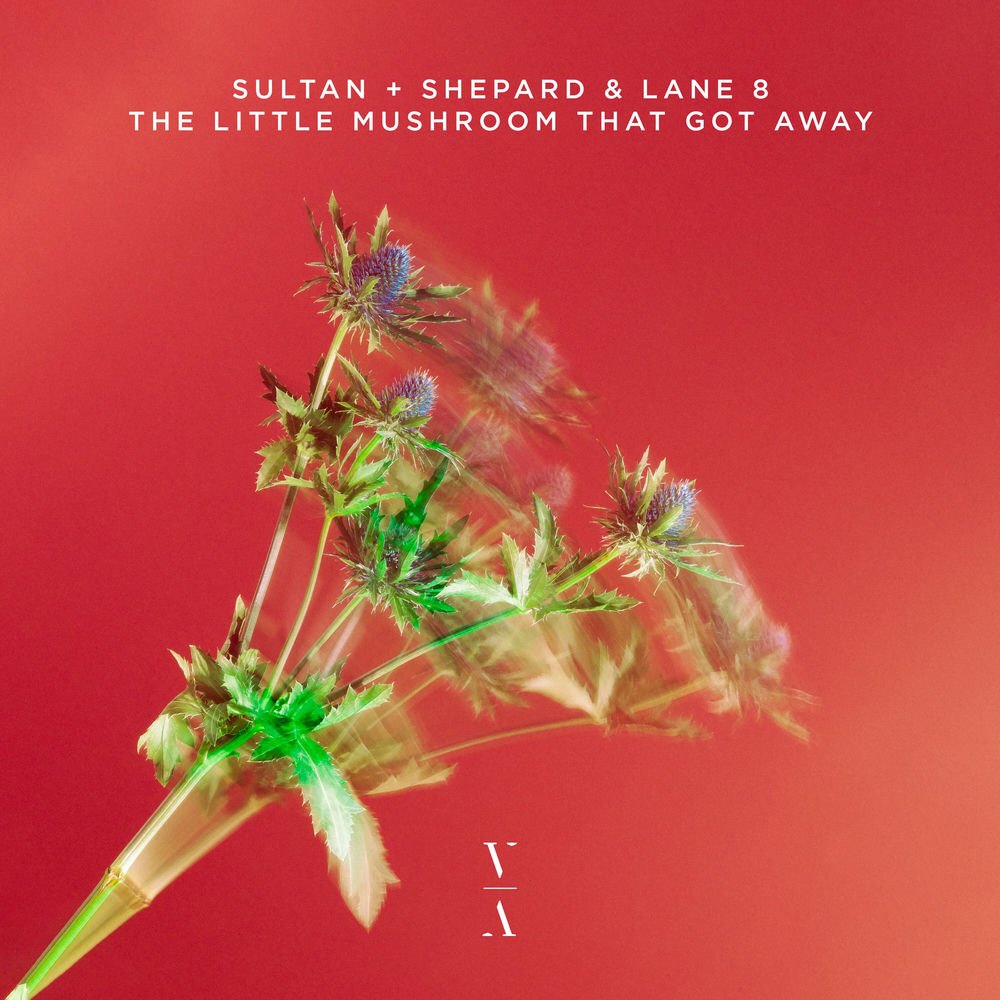 Lane 8, Sultan + Shepard, The Little Mushroom That Got Away, cover art