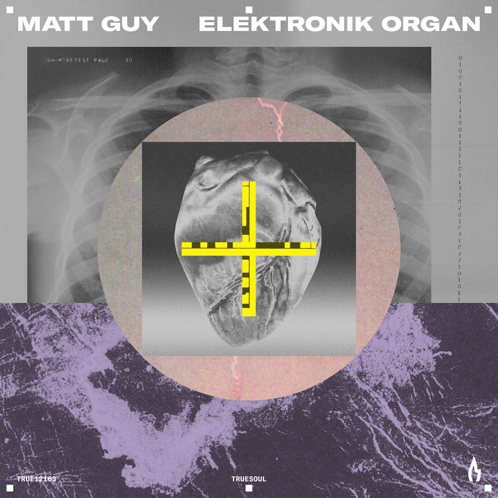 Matt Guy, Elektronik Organ, cover art