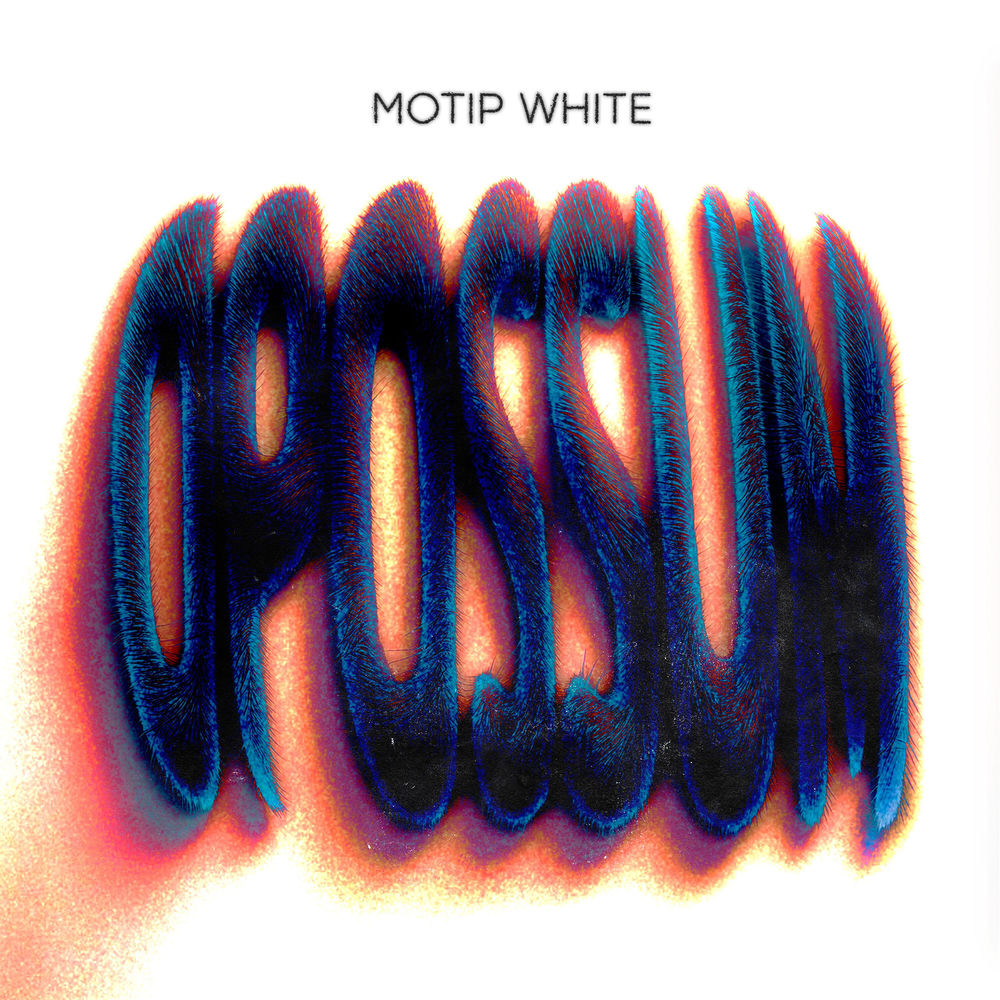 Motip White, Opossum, cover art
