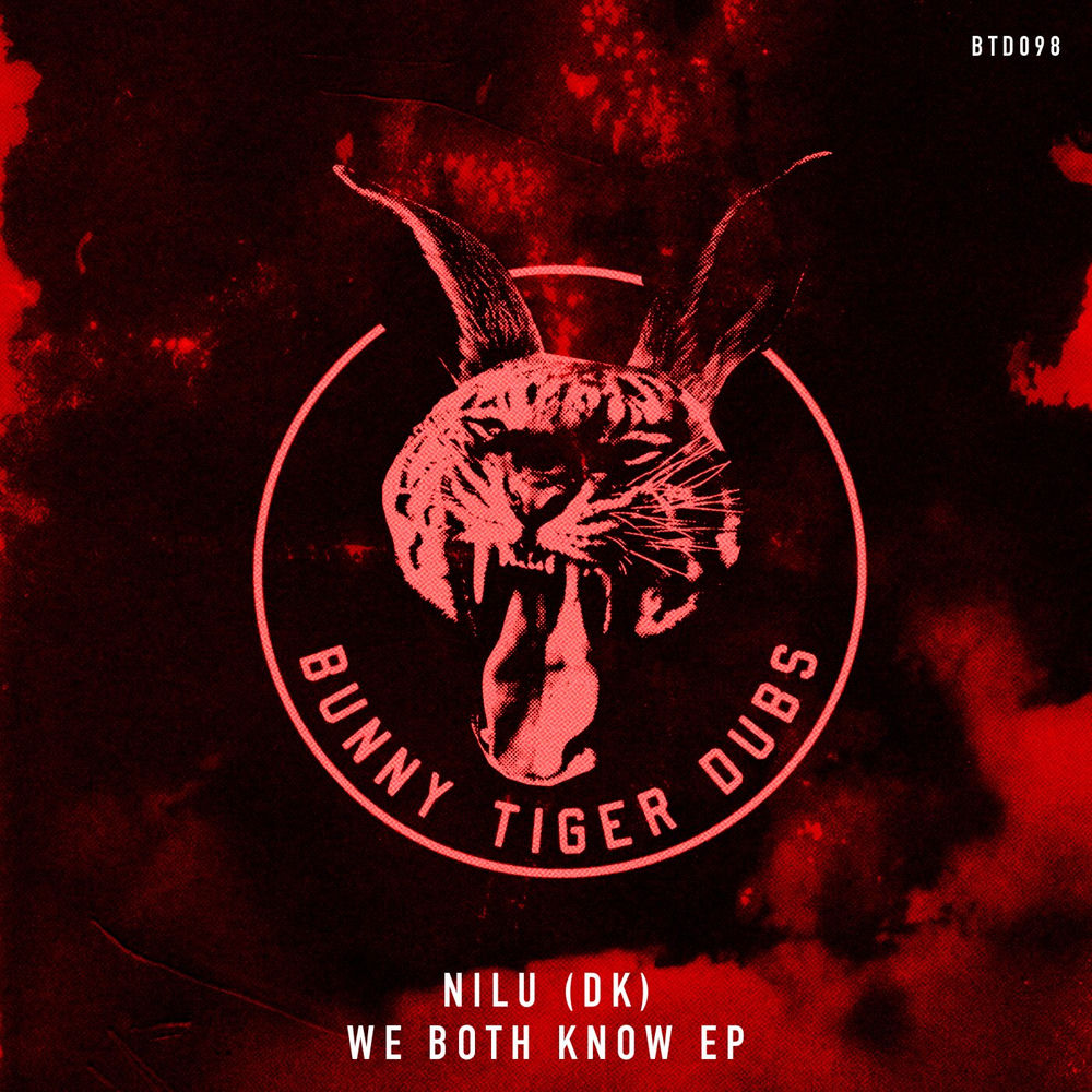 NILU (DK), We Both Know, cover art