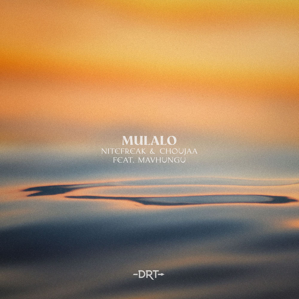 Nitefreak, Mavhungu, Choujaa, Mulalo, cover art