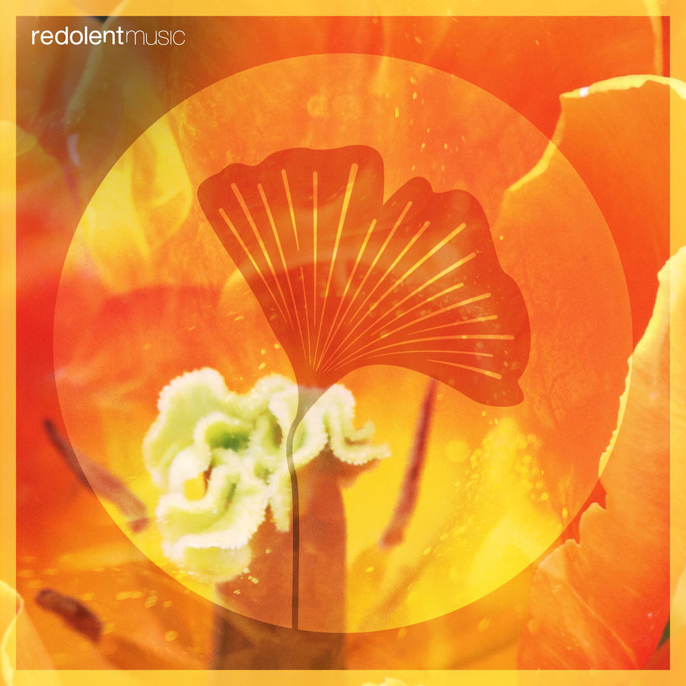 Oliver Gil, Claudia León, Loco Morocco, cover art