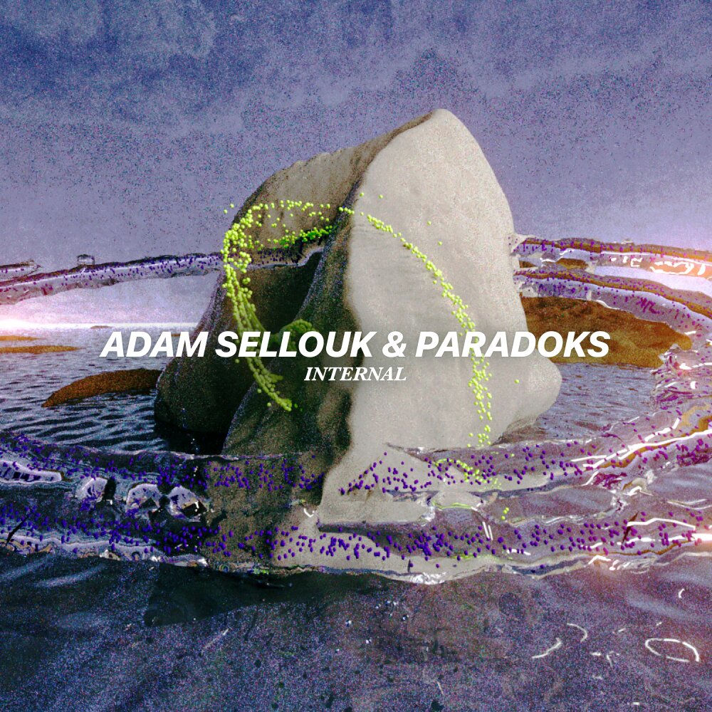Paradoks, Adam Sellouk, Internal, cover art
