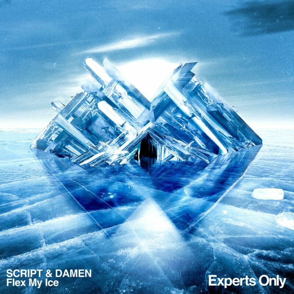 SCRIPT, DAMEN, Flex My Ice, cover art