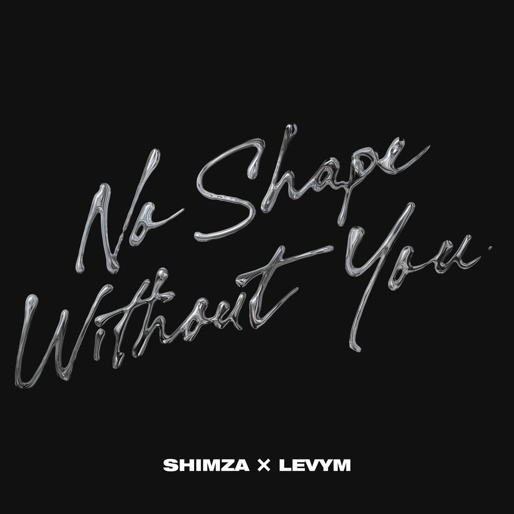 Shimza, LevyM, No Shape Without You, cover art