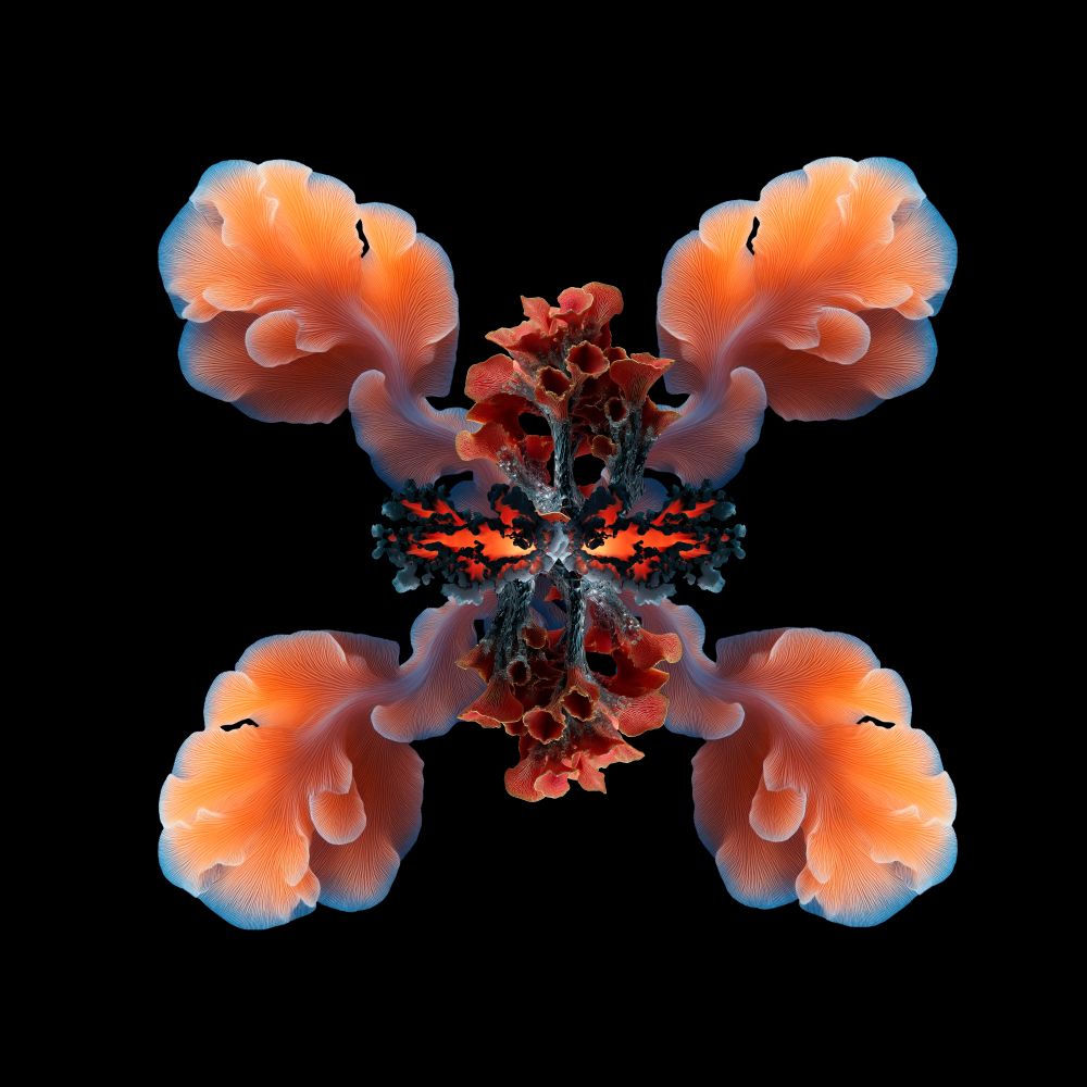 Solink, Sonar, cover art