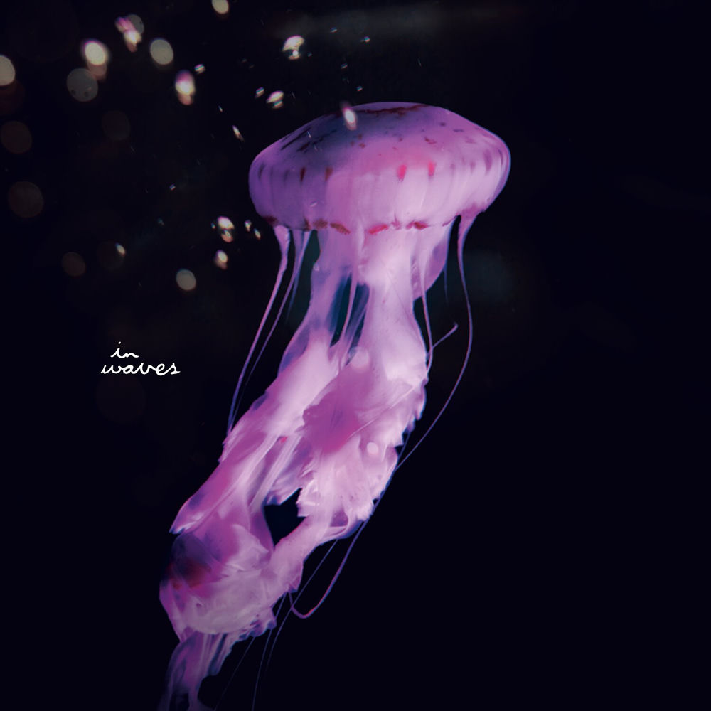 South Atoms, Persea, cover art
