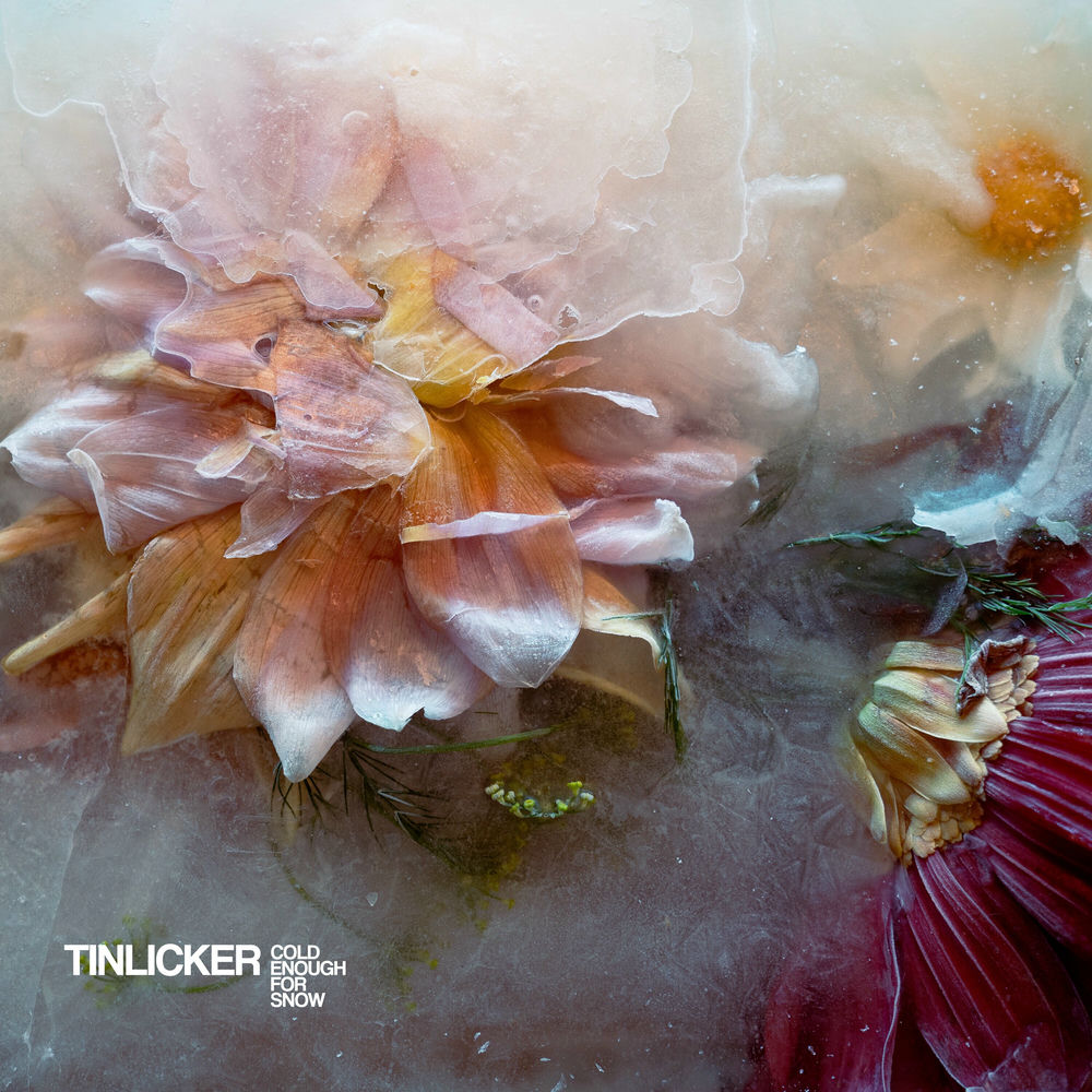 Tinlicker, Blowfish, cover art