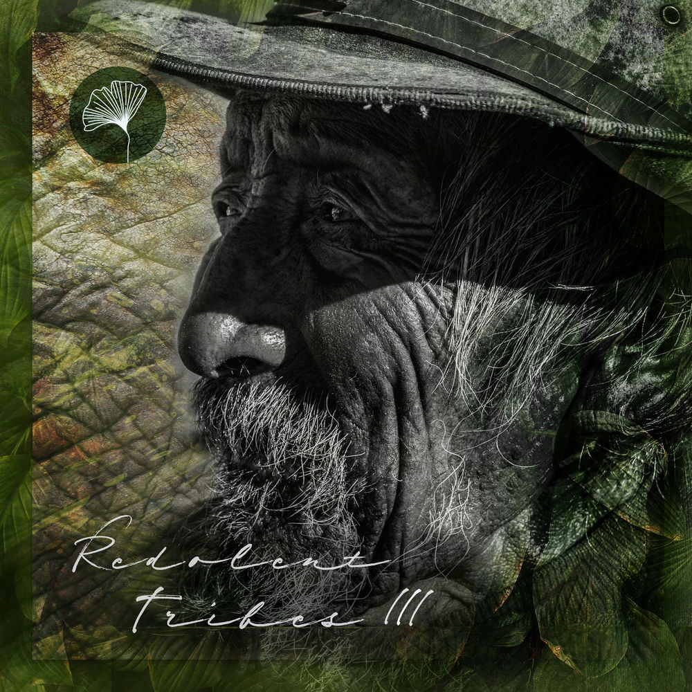 Vanjee, Saona, cover art