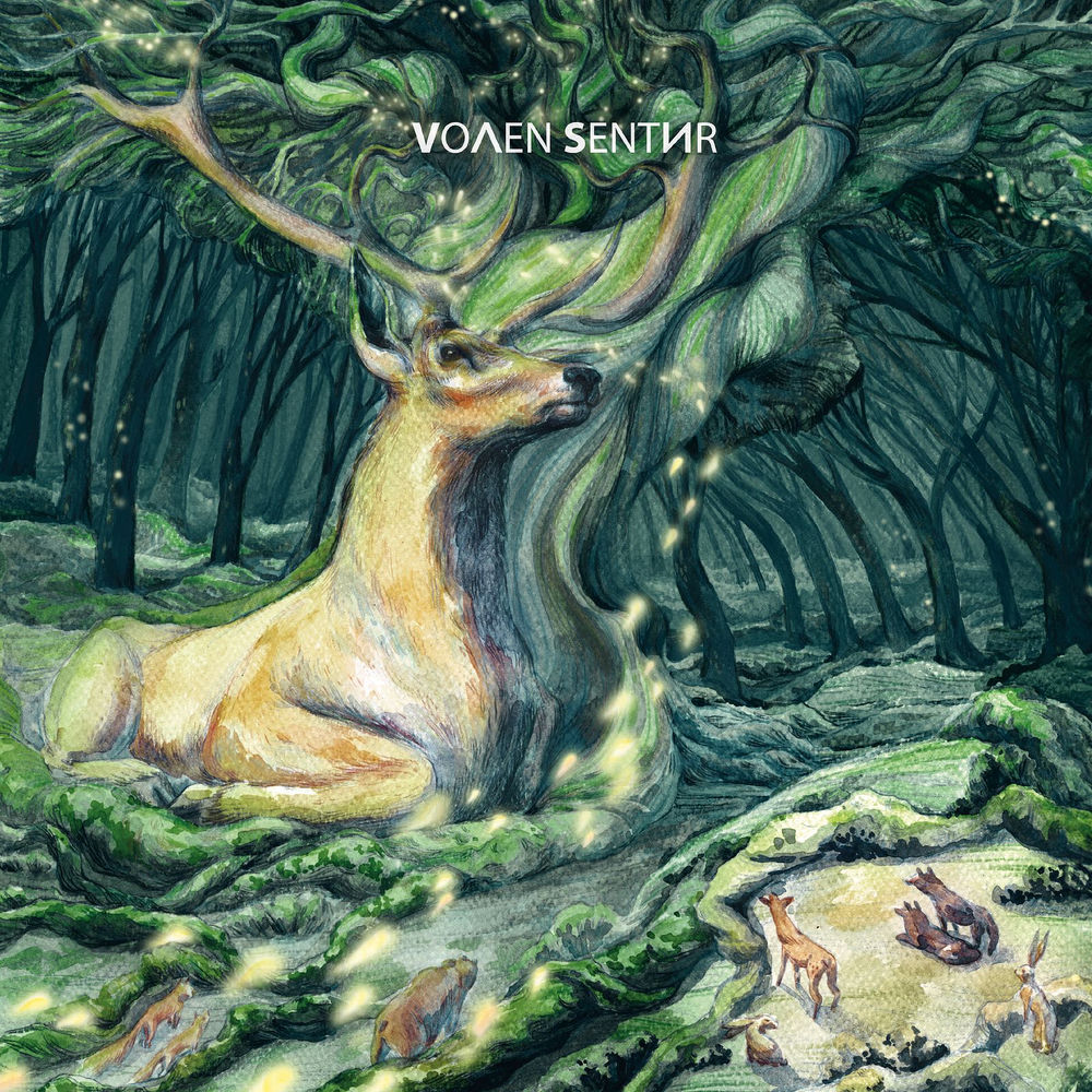 Volen Sentir, Havada, cover art